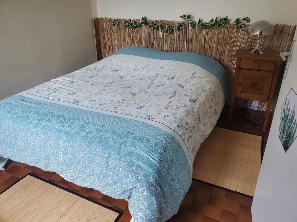 Dolphin'S House Apartment Авиньон Екстериор снимка