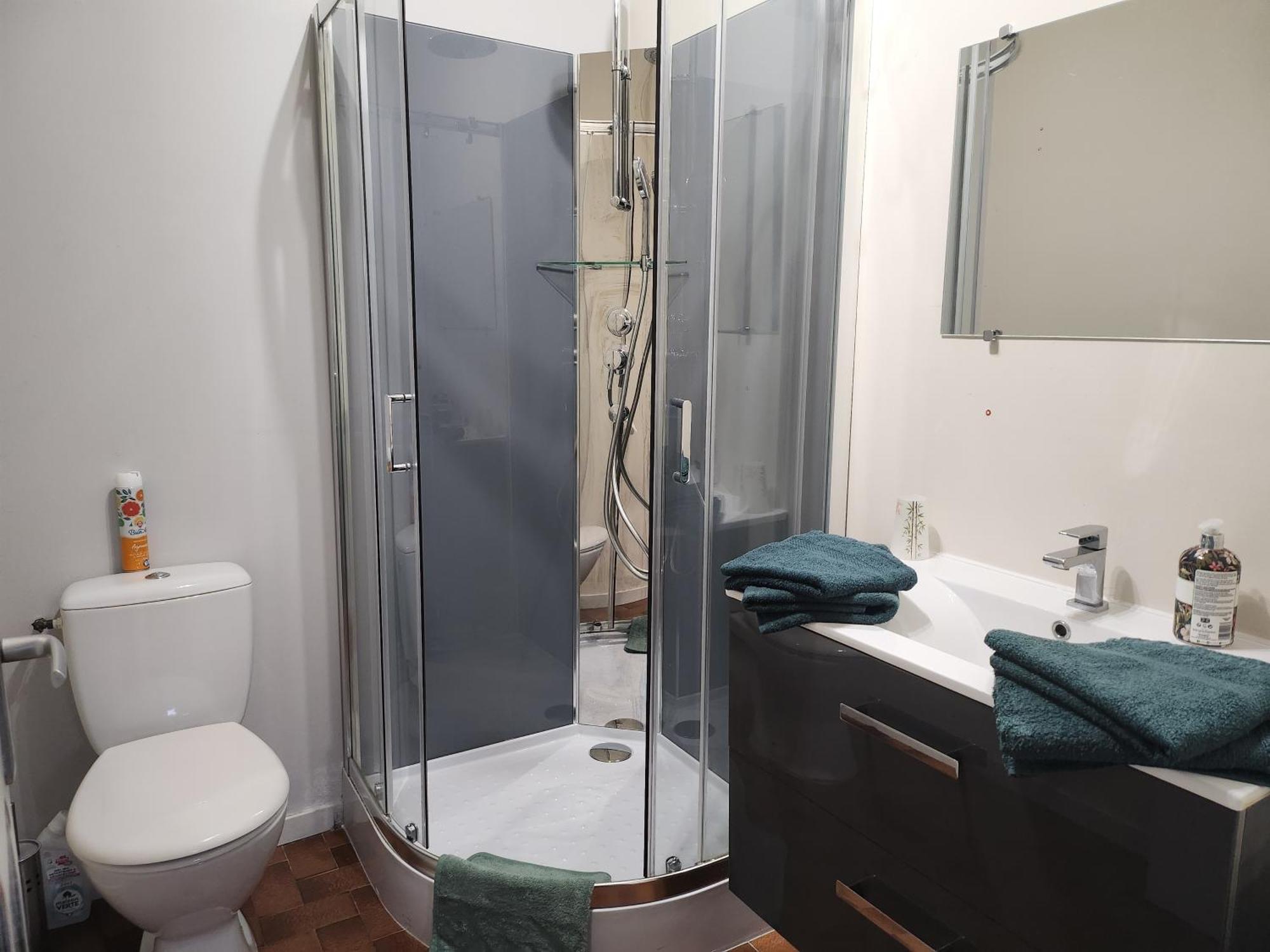 Dolphin'S House Apartment Авиньон Екстериор снимка